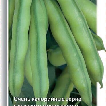 Семена Бобы овощные Русские черные (Черно-белый пакет) 10шт.