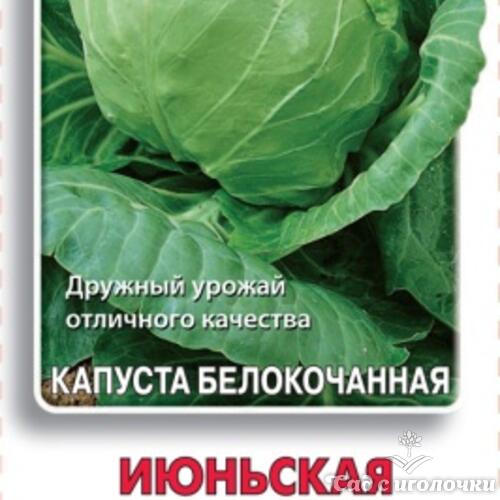 Семена Капуста белокочанная Июньская (Черно-белый пакет) 0,5гр.