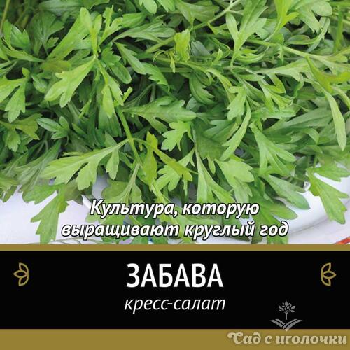 Семена Кресс-салат Забава (Черно-белый пакет)1гр.