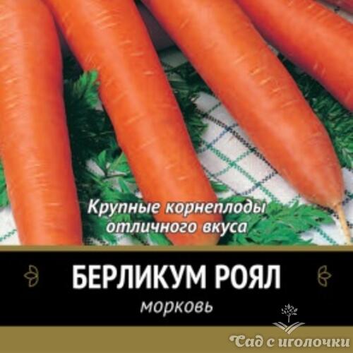 Семена Морковь Берликум Роял (Черно-белый пакет) 2гр.