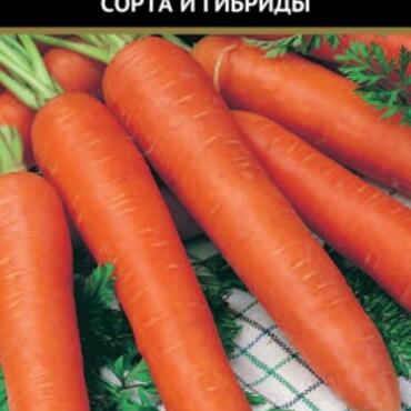 Семена Морковь Берликум Роял (Черно-белый пакет) 2гр.