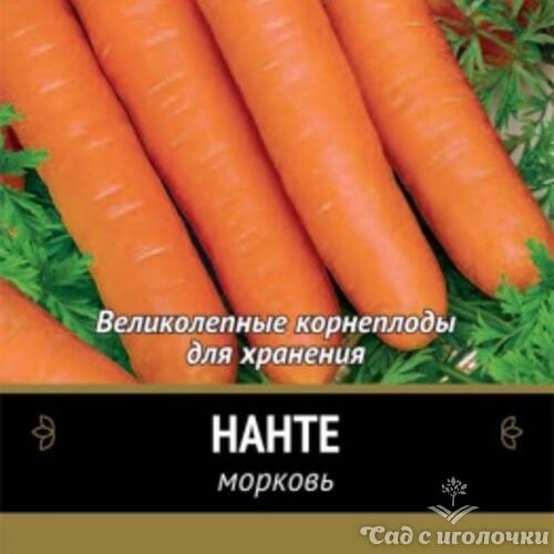 Семена Морковь Нанте (Черно-белый пакет) 2гр.