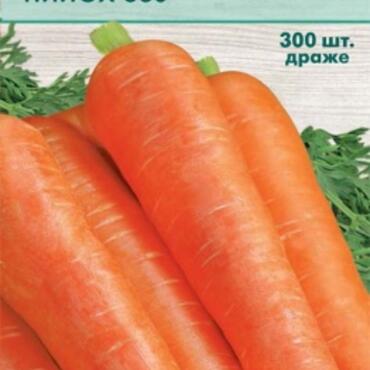 Семена Морковь НИИОХ 336 (Черно-белый пакет) 2гр.