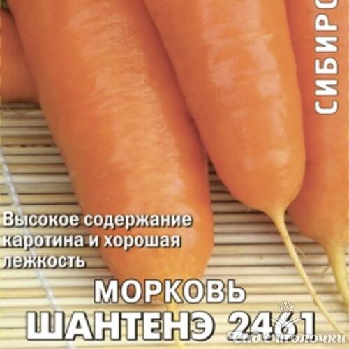 Семена Морковь Шантенэ 2461 (Черно-белый пакет) 2гр.