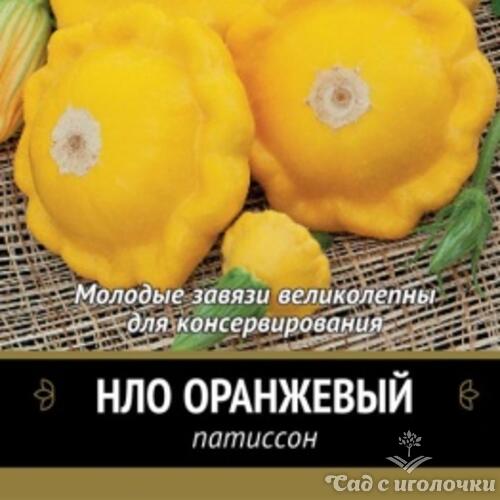 Семена Патиссон НЛО Оранжевый (Черно-белый пакет) 12шт.