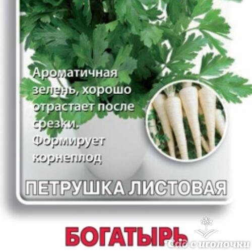 Семена Петрушка Богатырь (Черно-белый пакет) 3гр.