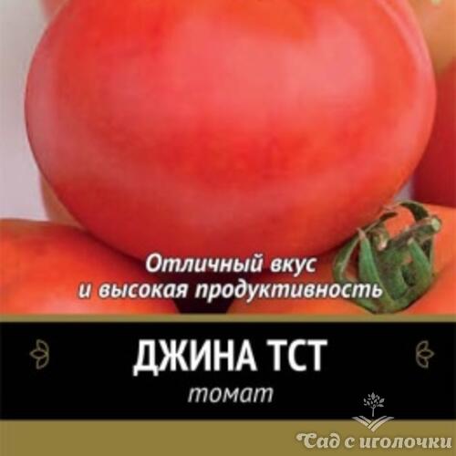 Семена Томат Джина ТСТ (Черно-белый пакет) 0,1гр.