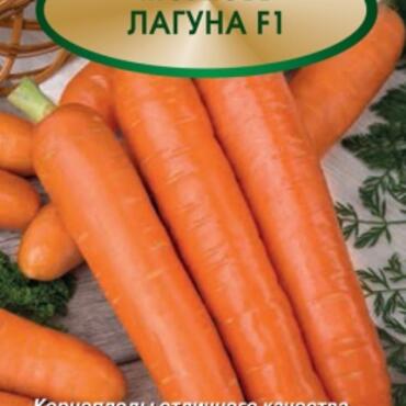 Семена Морковь Лагуна F1 0,5гр.