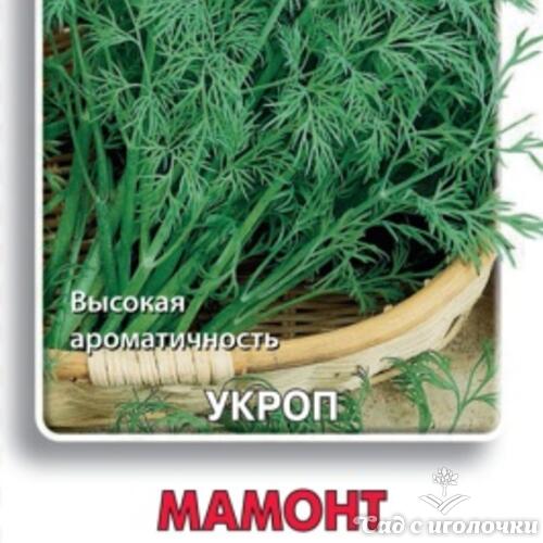 Семена Укроп Мамонт 3гр