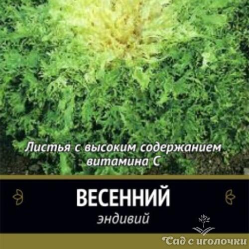 Семена Эндивий Весенний 0,5гр.