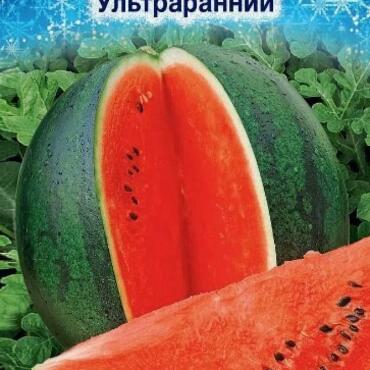 Семена Арбуз УЛЬТРАРАННИЙ (10 шт)