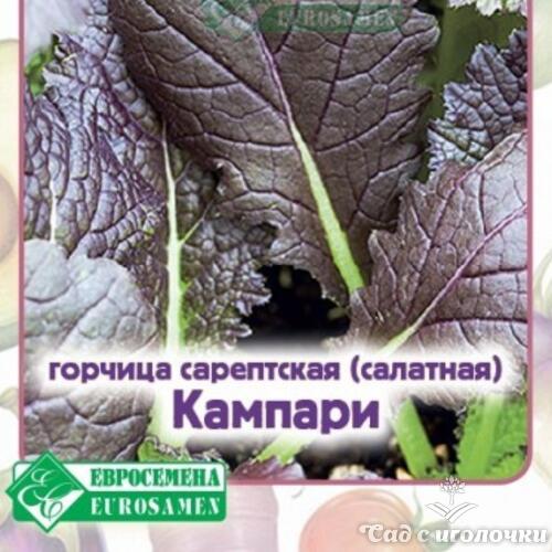 Семена Горчица КАМПАРИ сарептская (салатная) (1 гр)