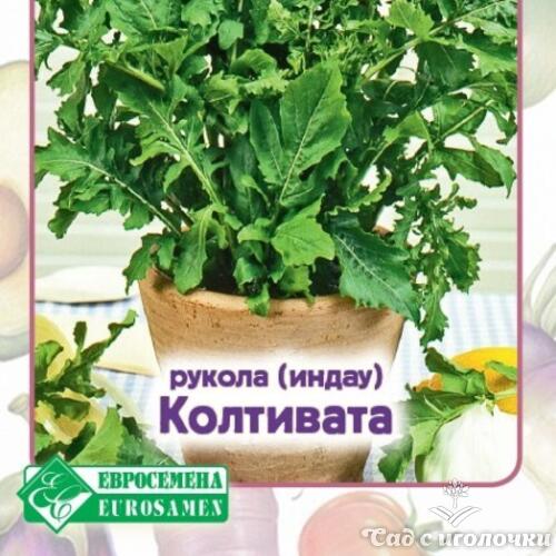 Семена Индау (рукола) КОЛТИВАТА (0,5 гр)