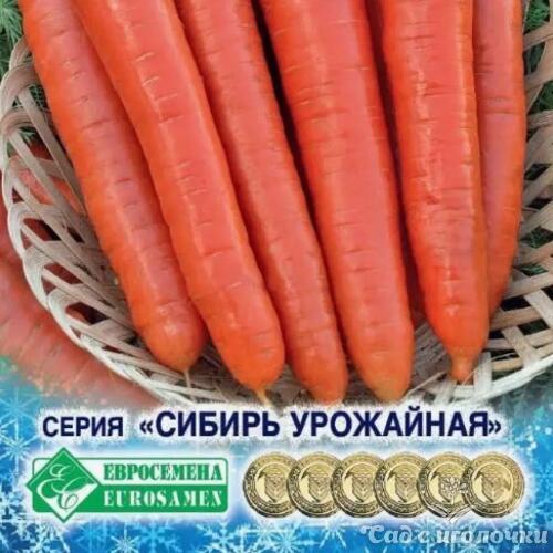 Семена Морковь МЕДОВАЯ СКАЗКА (2 гр)