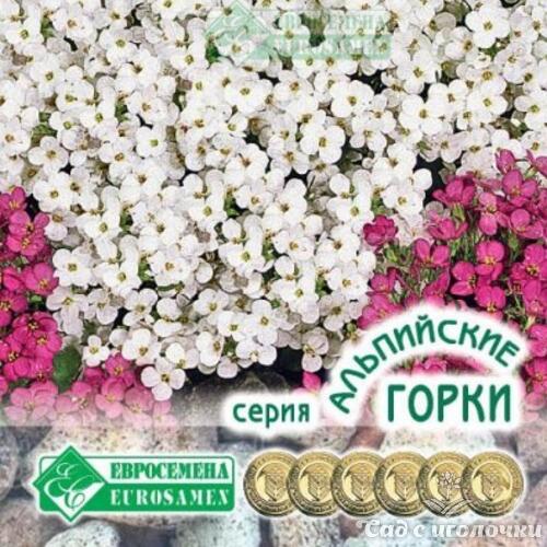 Семена Арабис альпийский БЕЛЫЙ КРИСТАЛЛ (0,1 гр)