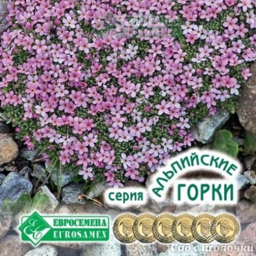 Семена Арабис альпийский РОЗОВЫЕ ЩЕЧКИ (0,1 гр)