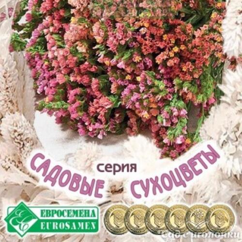 Семена Лимониум (Статица) СЧАСТЬЕ НАВСЕГДА (0,05 гр)